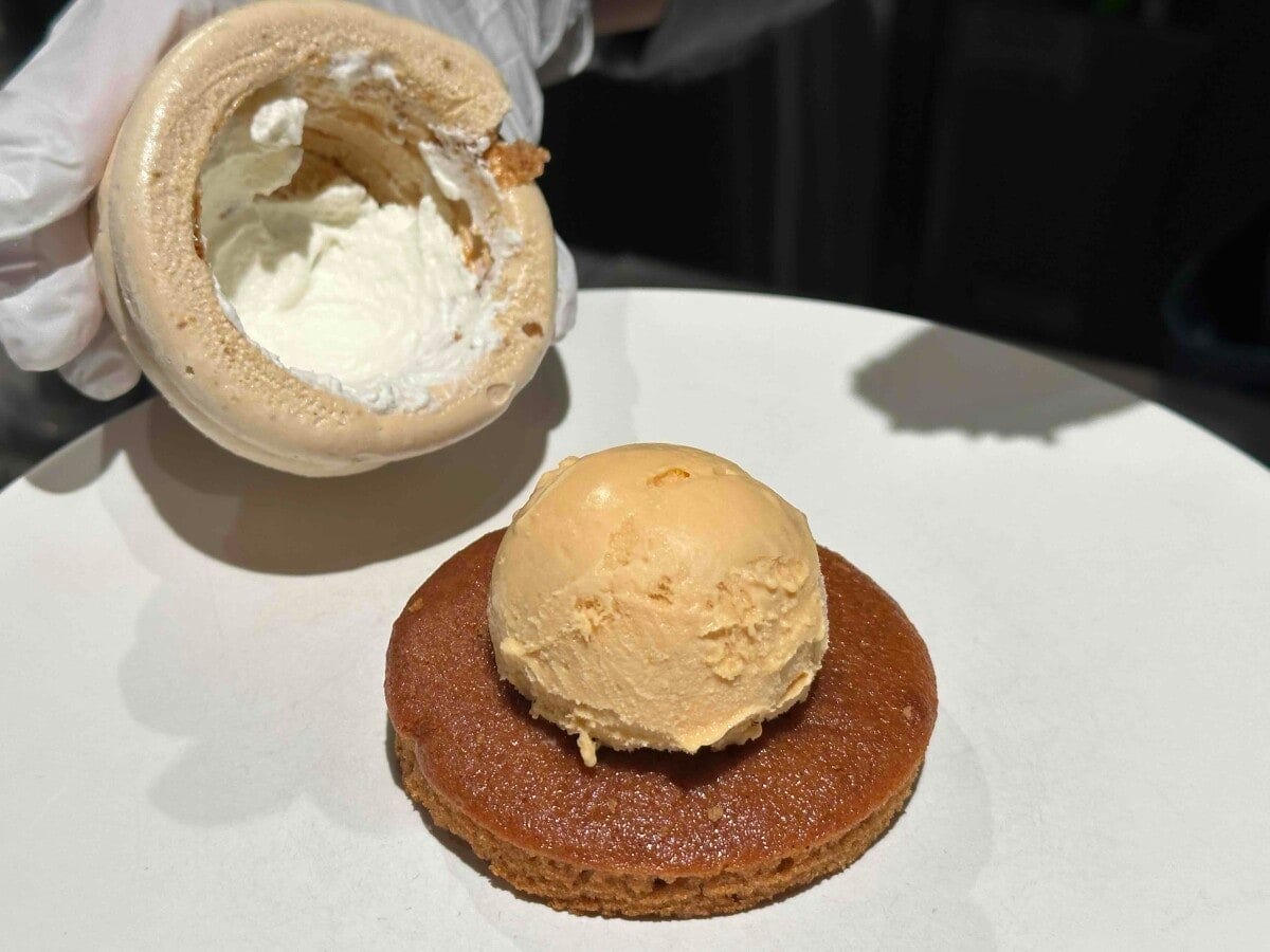 有機ココナッツシュガーのメレンゲのドームに生クリームとアイスを詰めて、ショコラのパンドジェンヌ生地にのせる