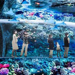 海の中を歩いているような体験ができる水中回廊(イメージ)/提供素材