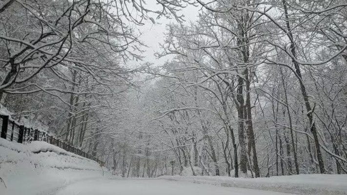 神秘の冬の奥入瀬へバスでアクセス