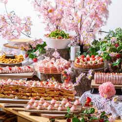 桜咲くいちごの国のティーパーティー/提供画像