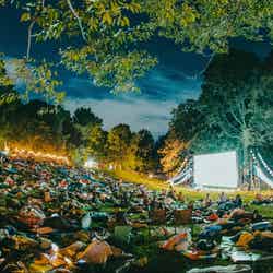 夜空と交差する森の映画祭／提供画像