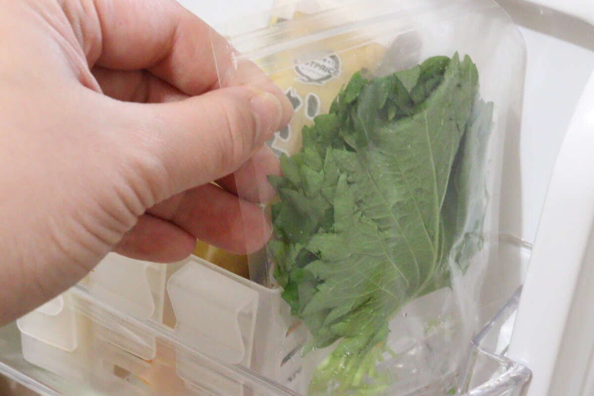 大葉のジッパー袋　3枚入り　取り出し