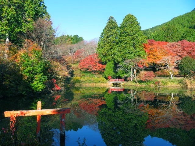 鳥見山公園