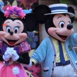 魔法の祭典「スプリングタイム・サプライズ」