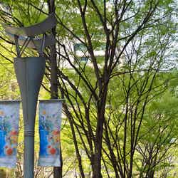 /画像提供:三菱一号館美術館