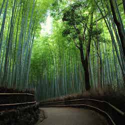 GWの京都でやるべき3つのこと