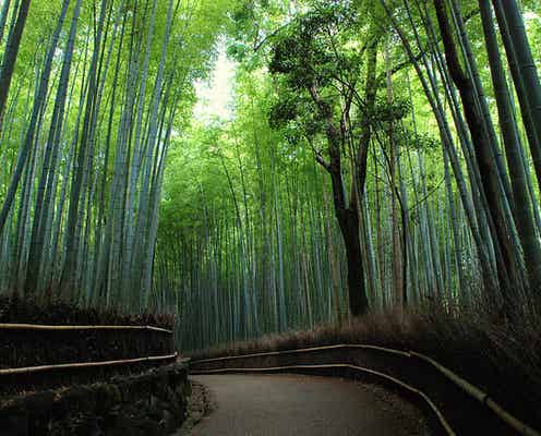 GWの京都でやるべき3つのこと