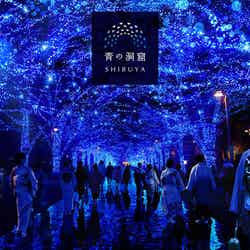 青の洞窟 SHIBUYA NEW YEAR WALK/画像提供:「青の洞窟 SHIBUYA」実行委員会
