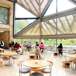 カフェ「Pine View」(C)モデルプレス