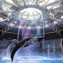 デイパフォーマンス「春爛漫」/画像提供:株式会社 横浜八景島