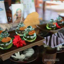 アナンタラ・ディグ・モルディブ・リゾート(C)モデルプレス