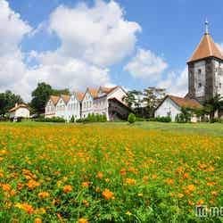 秋の赤城クローネンベルク/画像提供:赤城高原開発