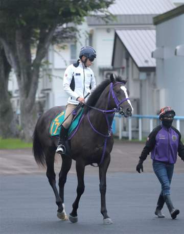 【新馬戦】レジームチェンジ G1馬ウインカーネリアンと併せ馬 千島助手好感触「走りは真面目で優等生」