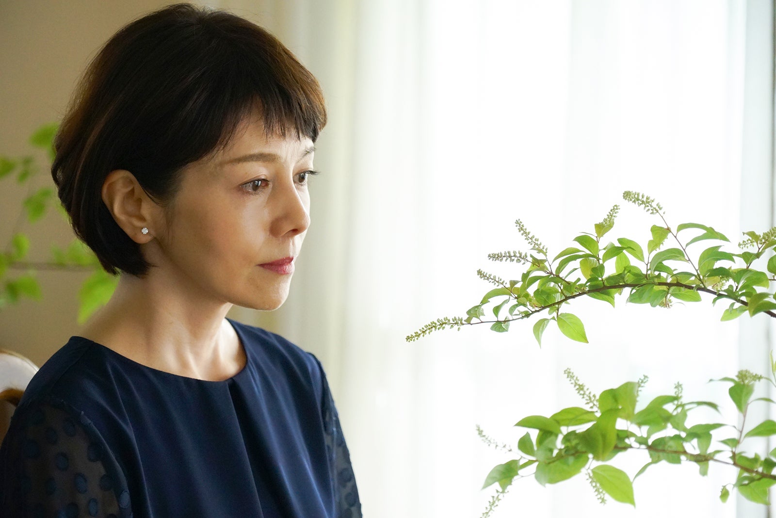 画像6 10 沢口靖子、主演ドラマsp「お花のセンセイ」第2弾放送決定 意気込み語る モデルプレス