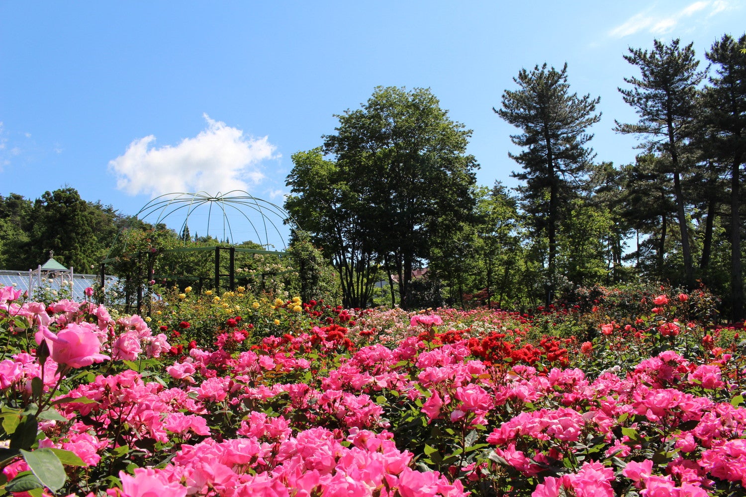 女子旅プレス×富山県特設ページ