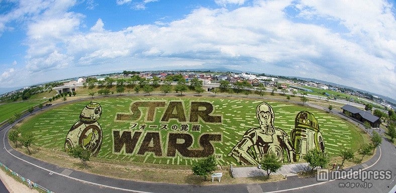 田んぼアート（C）2015Lucasfilm Ltd．＆TM．All Rights Reserved