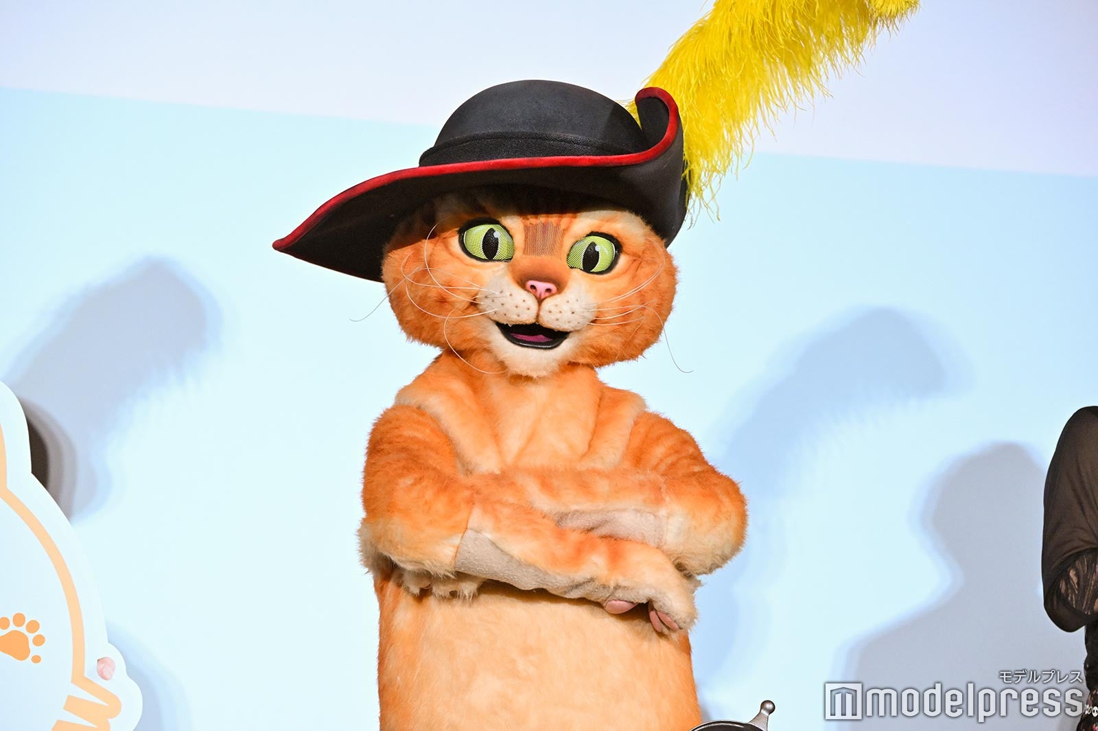 （C）モデルプレス