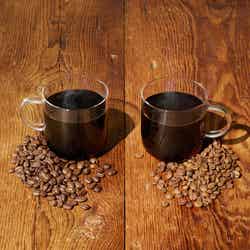 KNOWS COFFEE/提供画像