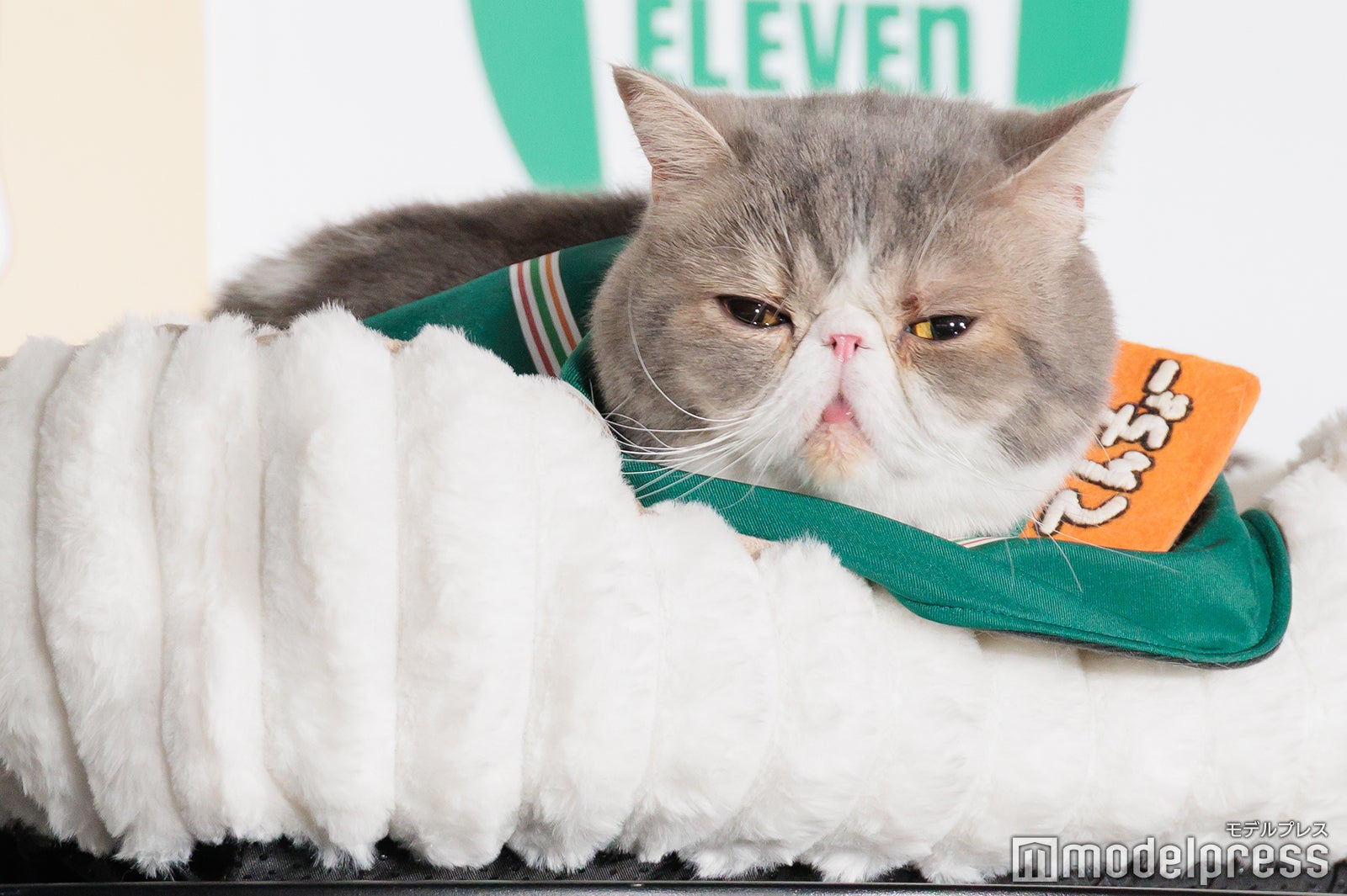 ポセイドンくん（C）モデルプレス