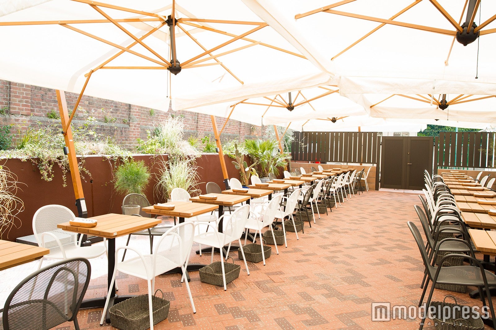 （C）Peanuts Worldwide LLC