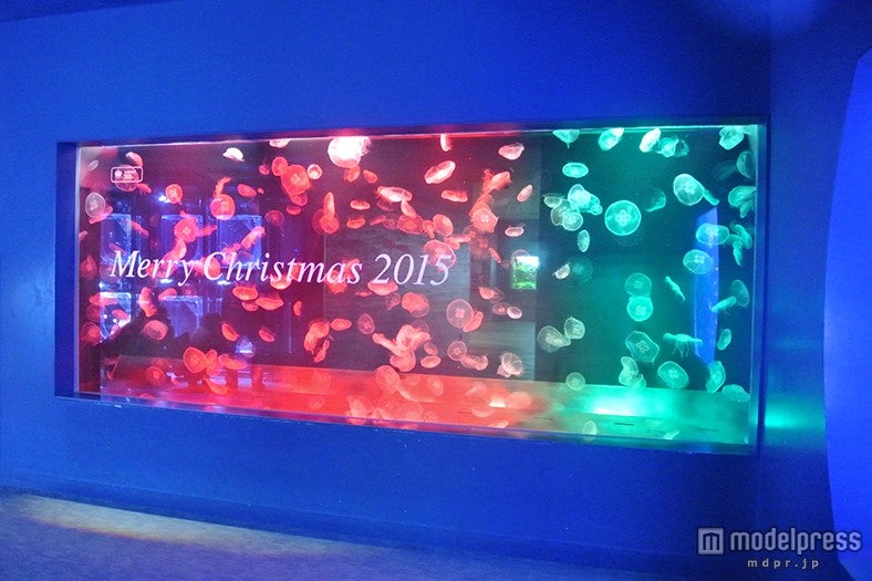 レッドからグリーンへ色が移り変わる様子／画像提供：すみだ水族館