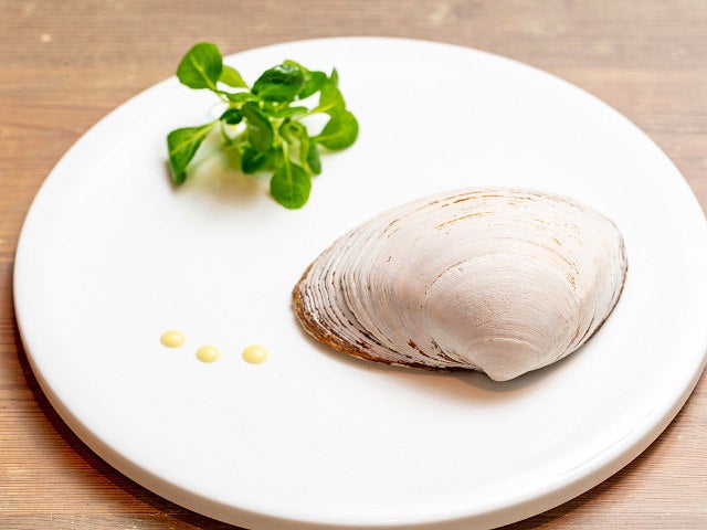 column_9e4a90b680b42fb9a0c553cc01616e91.