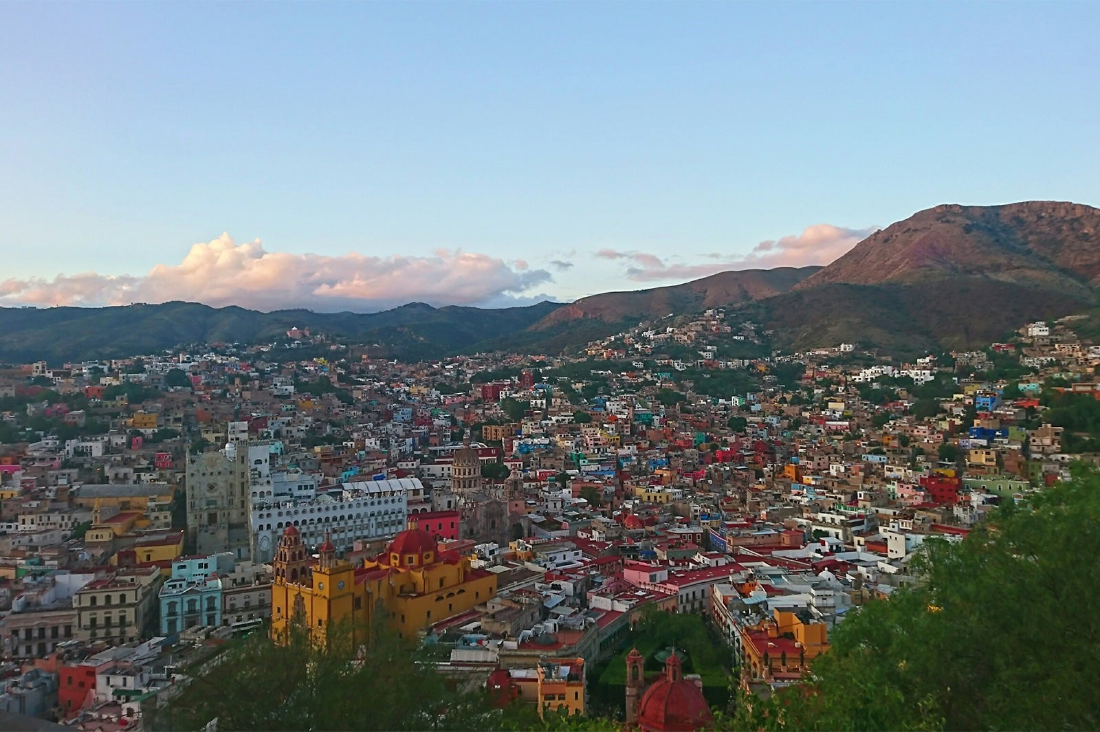 画像提供：所属事務所