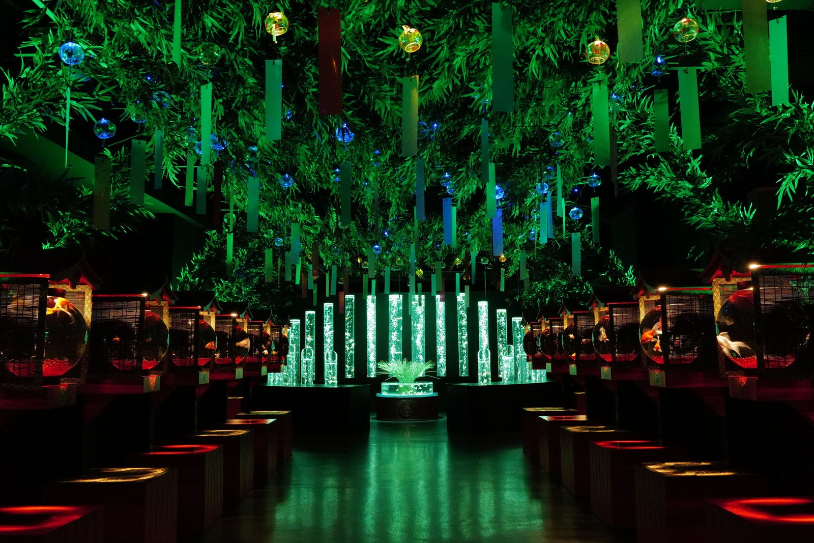 夏のアートアクアリウム2024 華映え金魚祭／提供画像