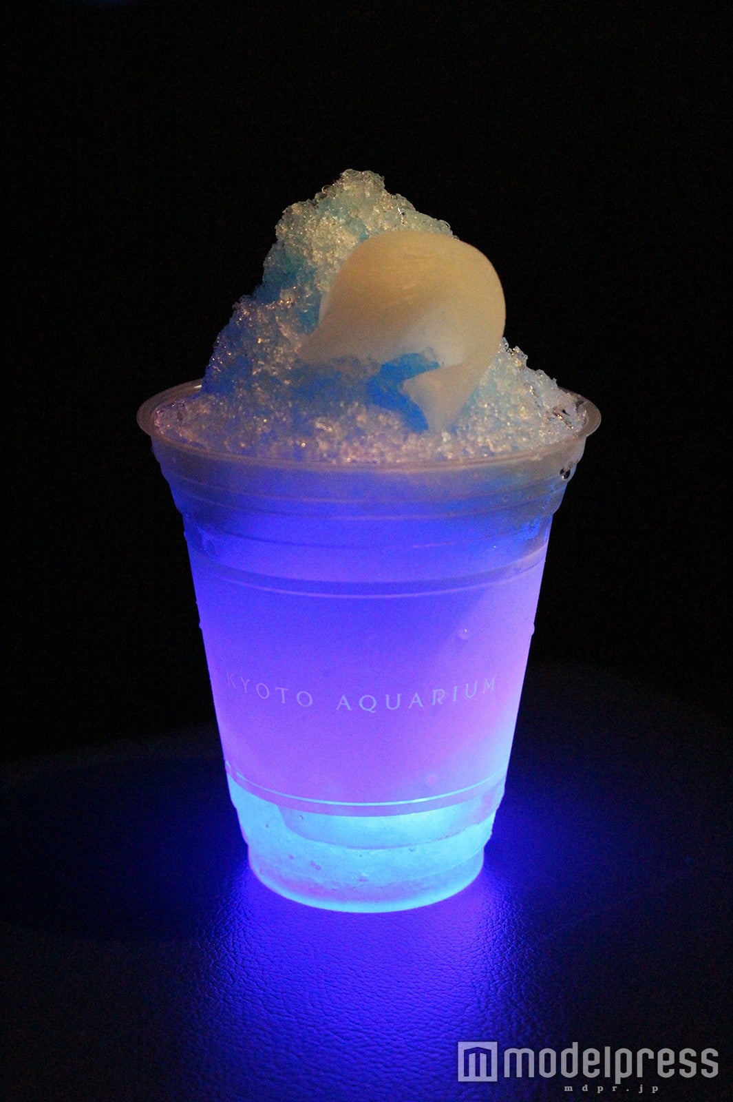 スタジアムカフェで提供される「夏の夜のかき氷」600円（税込）／画像提供：京都水族館
