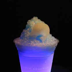スタジアムカフェで提供される「夏の夜のかき氷」600円(税込)/画像提供:京都水族館