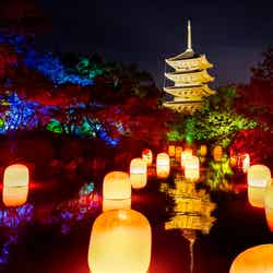 チームラボ 東寺 光の祭 - TOKIO インカラミ／画像提供：チームラボ