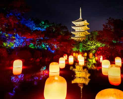 京都の世界遺産・東寺が光のアート空間に！「チームラボ 東寺 光の祭 -TOKIOインカラミ」開幕