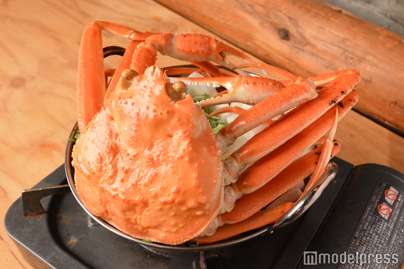 （C）モデルプレス