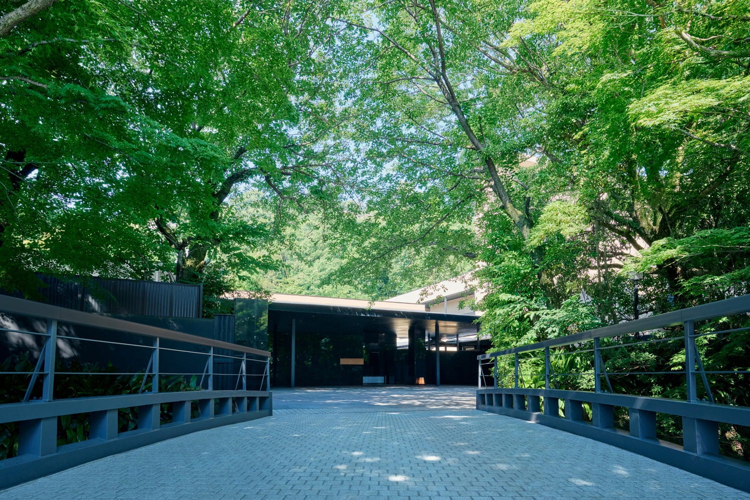 温泉と四季の彩りに癒される「ふふ 熱海」宿泊記 心に余韻を残すリトリート旅へ