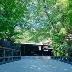 パブリックエリア エントランス/提供画像