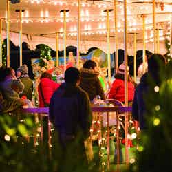 光の遊園地メリーゴーランド/画像提供:タカショー