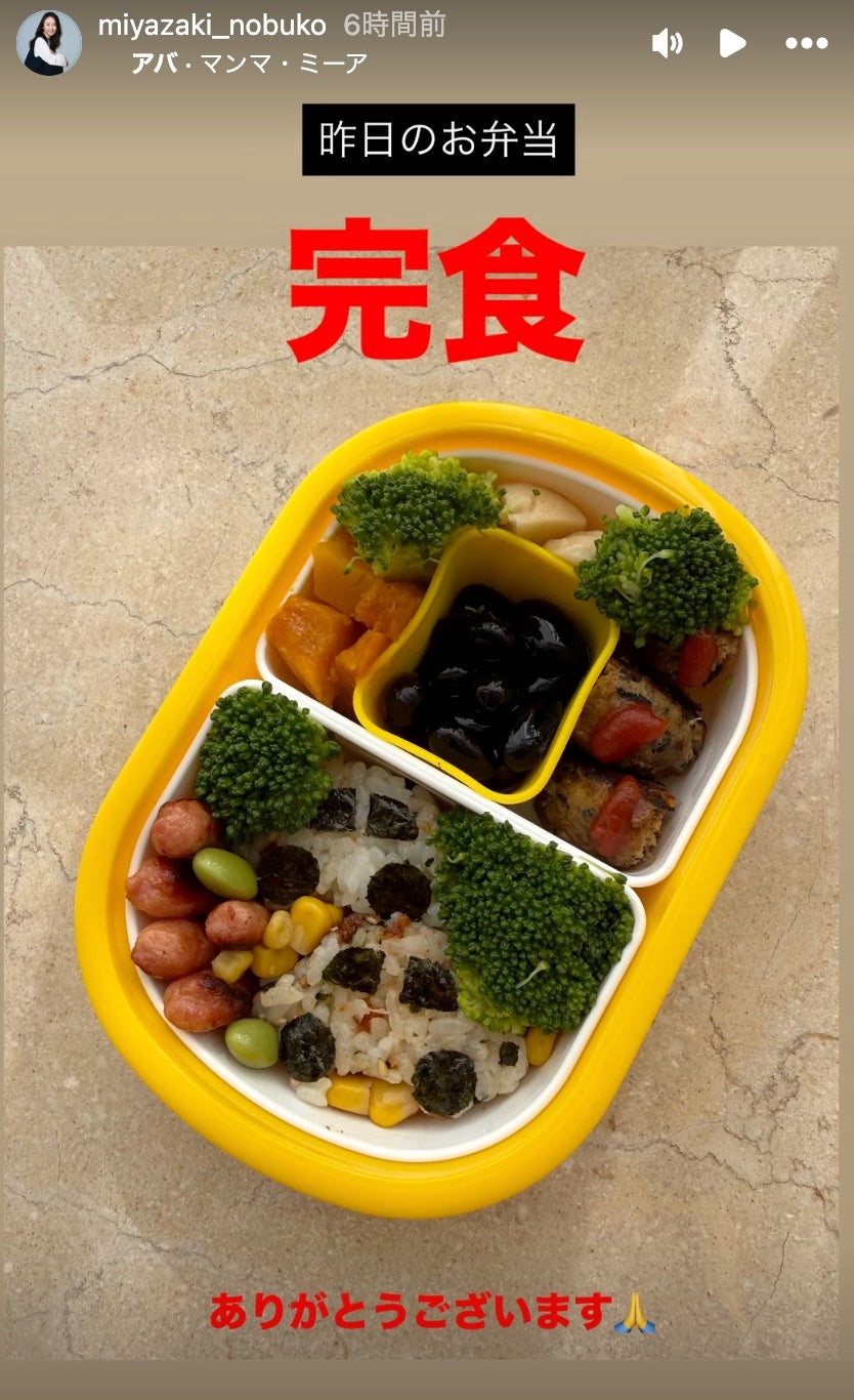 宮崎宣子Instagramストーリーズより