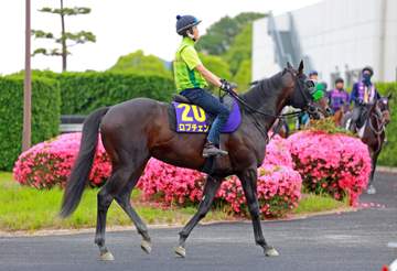 3歳馬トップは皐月賞＆ダービーの2冠を達成したロブチェン 26年度上半期JPNサラブレッドランキング