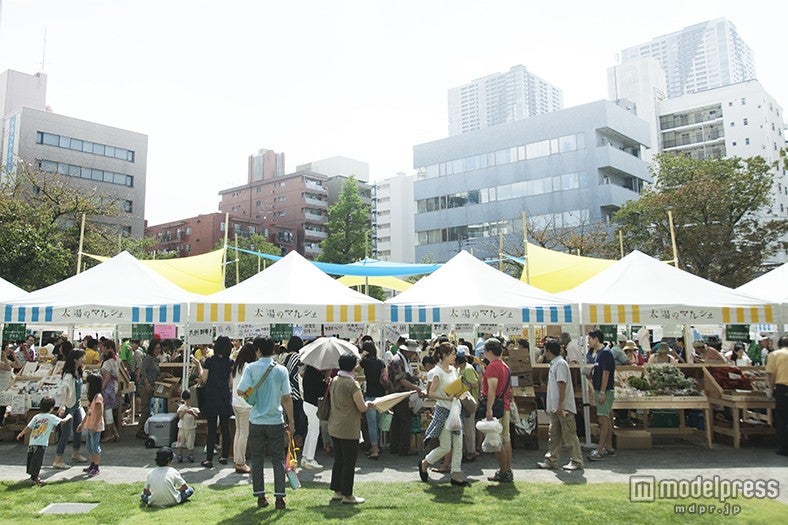 過去会場の様子／画像提供：太陽のマルシェ実行委員会