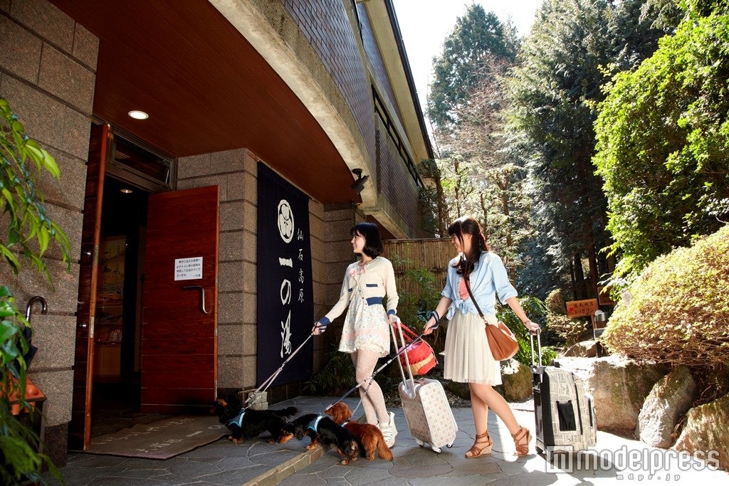 「仙石高原 大箱根一の湯」／画像提供：一の湯