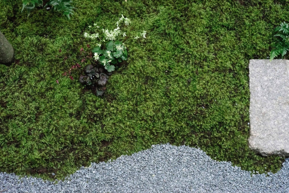 1階の各客間に設えられる坪庭（Photo Max Houtzager）