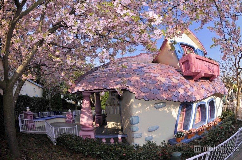 カワヅザクラ（3月下旬～4月上旬）／ディズニーランド・トゥーンタウン「ミニーの家」付近／（C）Disney