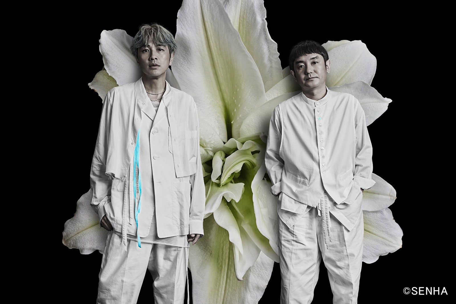 ゆず（提供写真）