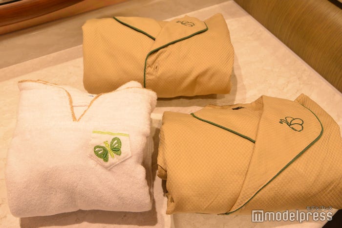 東京ディズニーシー・ファンタジースプリングスホテル(C)モデルプレス