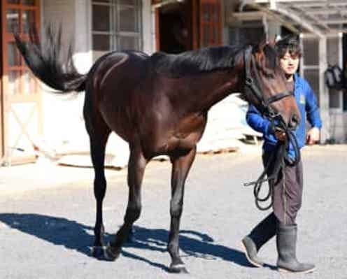 【天皇賞】ミュージアムマイル 史上6頭目快挙3歳馬Vへ突き進む 高柳大師「いい成長している」