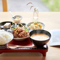 地元食材を使った人気のランチ。売り切れる可能性があるので予約がおすすめ/提供画像