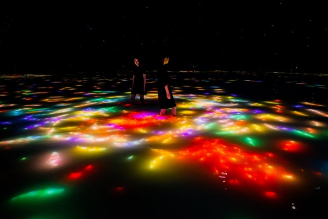 「チームラボプラネッツ」が、今の時期だけ秋の空間に／画像提供：株式会社PLANETS