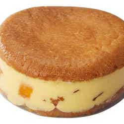 【期間限定】トロピックオレンジマンゴ(税込)(C)モデルプレス