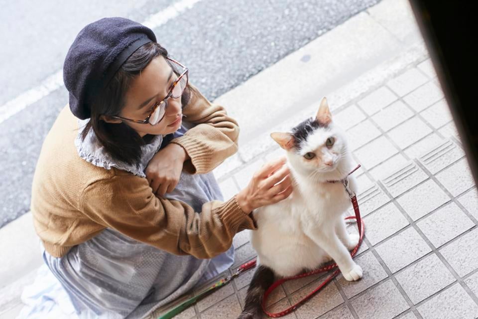 yuzu-collection-content-3566-1539230404.