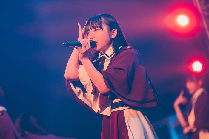 かすみ草とステラ/撮影:真島洸 (提供写真)